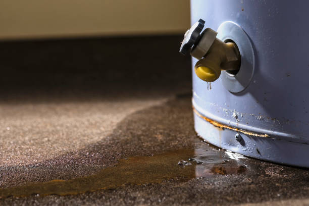 Best Water damage restoration services  in Robbins, NC