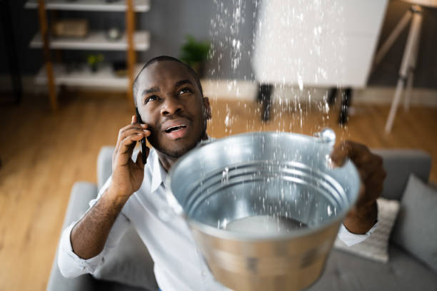 Best Professional water damage repair  in Robbins, NC