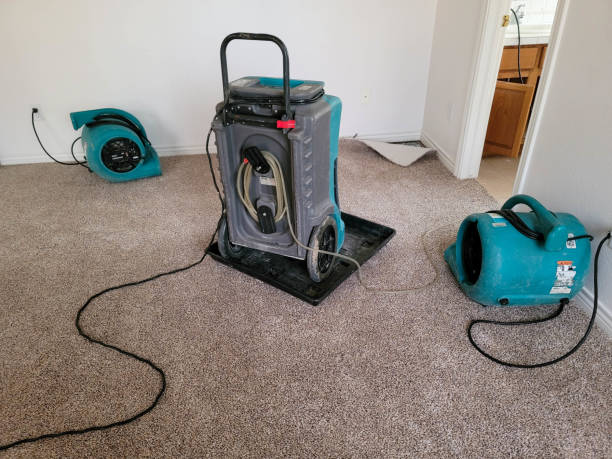 Best Basement water damage restoration  in Robbins, NC