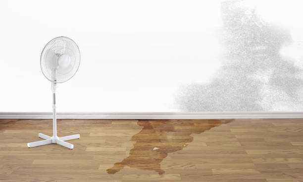 Best Water damage restoration process  in Robbins, NC