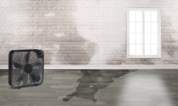 Best 24-hour water damage restoration  in Robbins, NC
