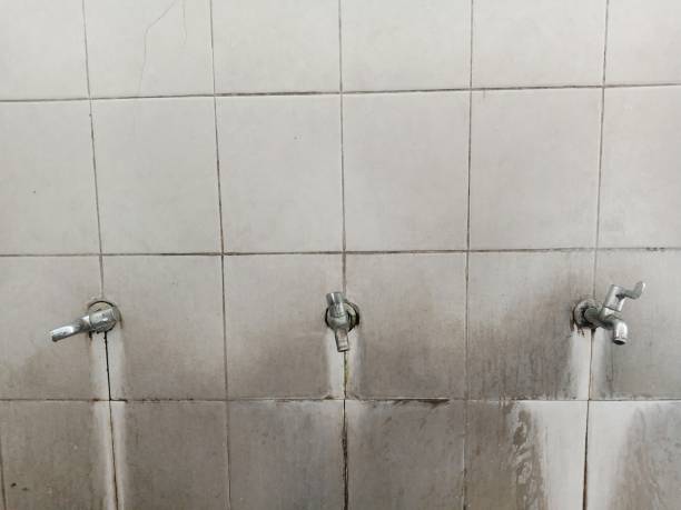 Best Residential water damage restoration  in Robbins, NC