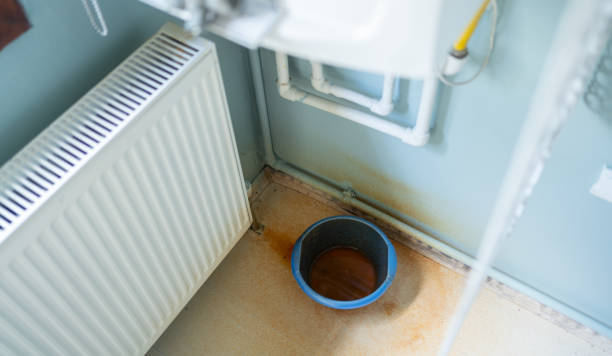 Best Water damage restoration near me  in Robbins, NC