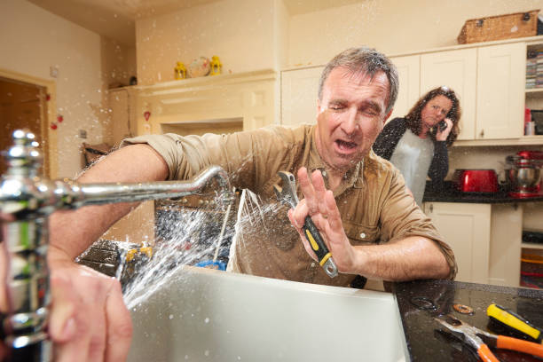 Best Professional water damage repair  in Robbins, NC